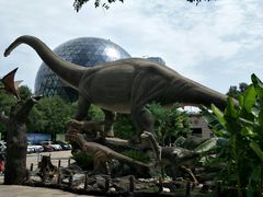 -陕西自然博物馆