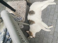 -Wagas沃歌斯(尚街店)