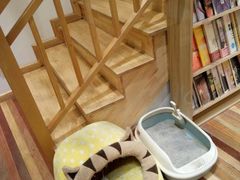 -猫的天空之城概念书店(杭州南宋御街店)