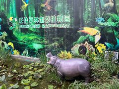 -正佳雨林生态植物园
