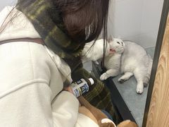 -拳盛时代拳击俱乐部(北京路店)