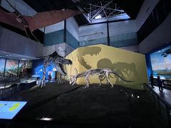 -湖南省地质博物馆