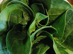 -南门四季铜锅涮肉(大屯·北苑店)