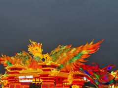 -武汉园博园(武汉自然博物馆)
