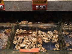 -抱德·潮汕味(敦和店原惠城鱼仔)