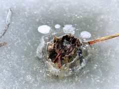 -马家湾湿地公园