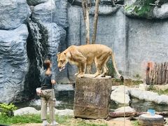 -清迈夜间动物园