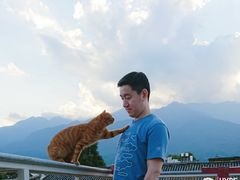 -喵屿·大理花园猫咖