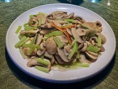 口菇小芹菜-3号仓库(幸福北路店)