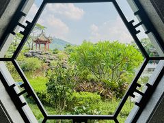 -顺峰山公园