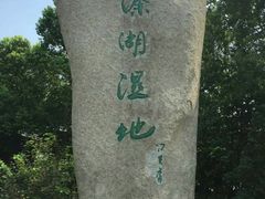 -溱湖国家湿地公园