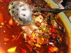 -胡桃里音乐酒馆(下沙店)