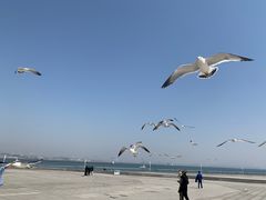 -东港音乐喷泉广场