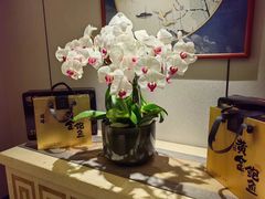 -顺峰(农展馆店)
