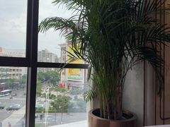-丰鲤楼•闽南茶楼(仟禧汇店)