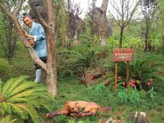 -世界恐龙谷景区