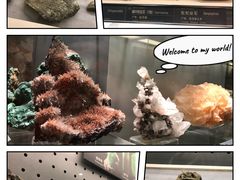 -中国地质博物馆