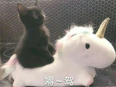 -庆丰包子铺(西便门店)