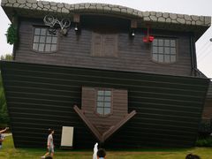 -金山农民画村-枫泾波兰倒置屋