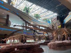 -安徽省地质博物馆