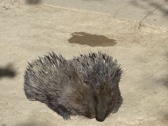 -青藏高原野生动物园