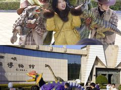 -中国西峡恐龙遗迹园