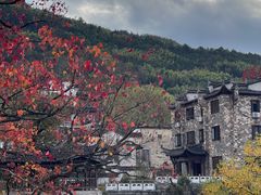 -塔川景区
