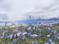 -赛里木湖风景名胜区