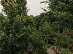 -和顺柏联温泉