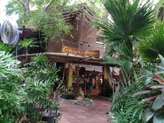 -卷心菜和避孕套餐厅(Pattaya)