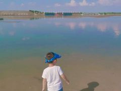 -呼兰河口湿地公园