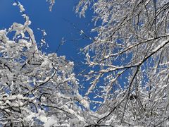 -陕西省红河谷森林公园