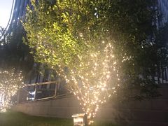 -杭州来福士中心