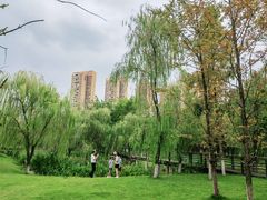 -沐仙湖湿地公园