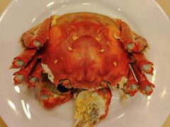 -王宝和酒家(黄浦店)