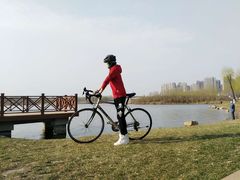 -丁香湖公园