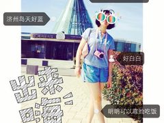 -济州岛泰迪熊博物馆