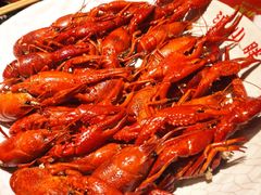 -沪小胖·小龙虾·蓝龙王(八佰伴店)