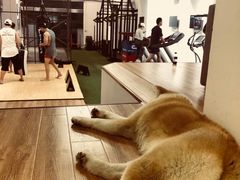 -YCHL Studios健身工作室(市二宫店)