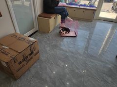 -芭比堂动物医院·CT·微创中心(新顺分院)