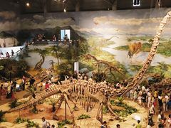 -自贡恐龙博物馆