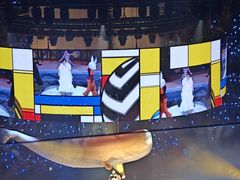 -梦之蓝青奥体育公园体育馆