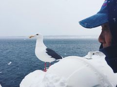 -网走流冰观光破冰船极光号