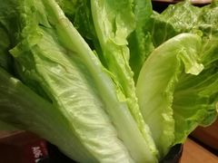 生菜-快乐小羊·内蒙牛羊肉火锅(流花中心店)