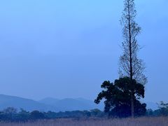 -良渚古城遗址公园
