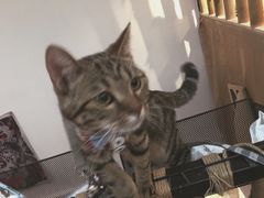 -蘭葶花酒馆(鼓楼店)