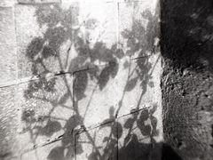 当年暗房俱乐部(上海店)-当年暗房俱乐部(上海店)