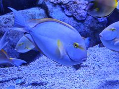 -成都浩海立方海洋公园