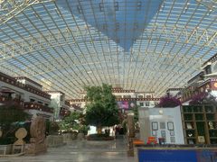 -拉萨圣地天堂洲际大饭店-自助餐厅
