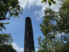 -上海佘山国家森林公园天马山园